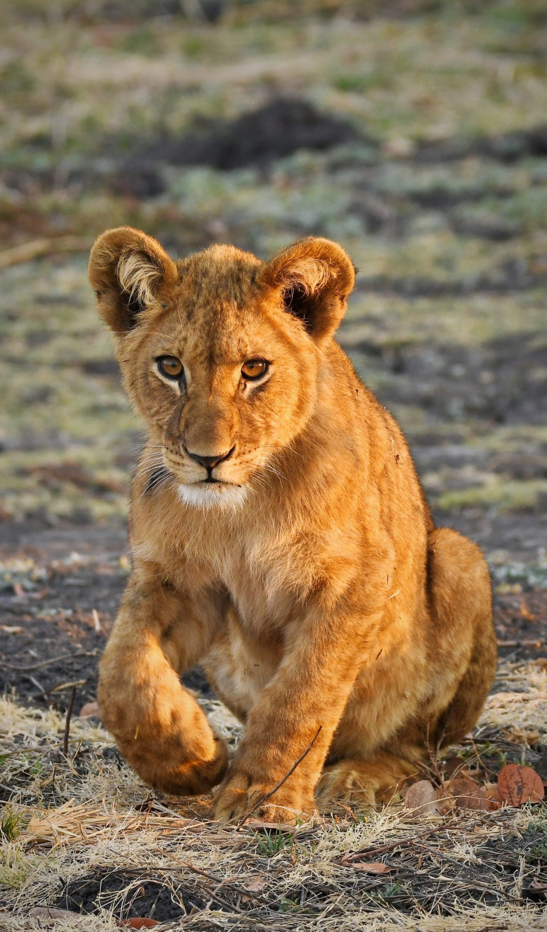 Serengeti National Park