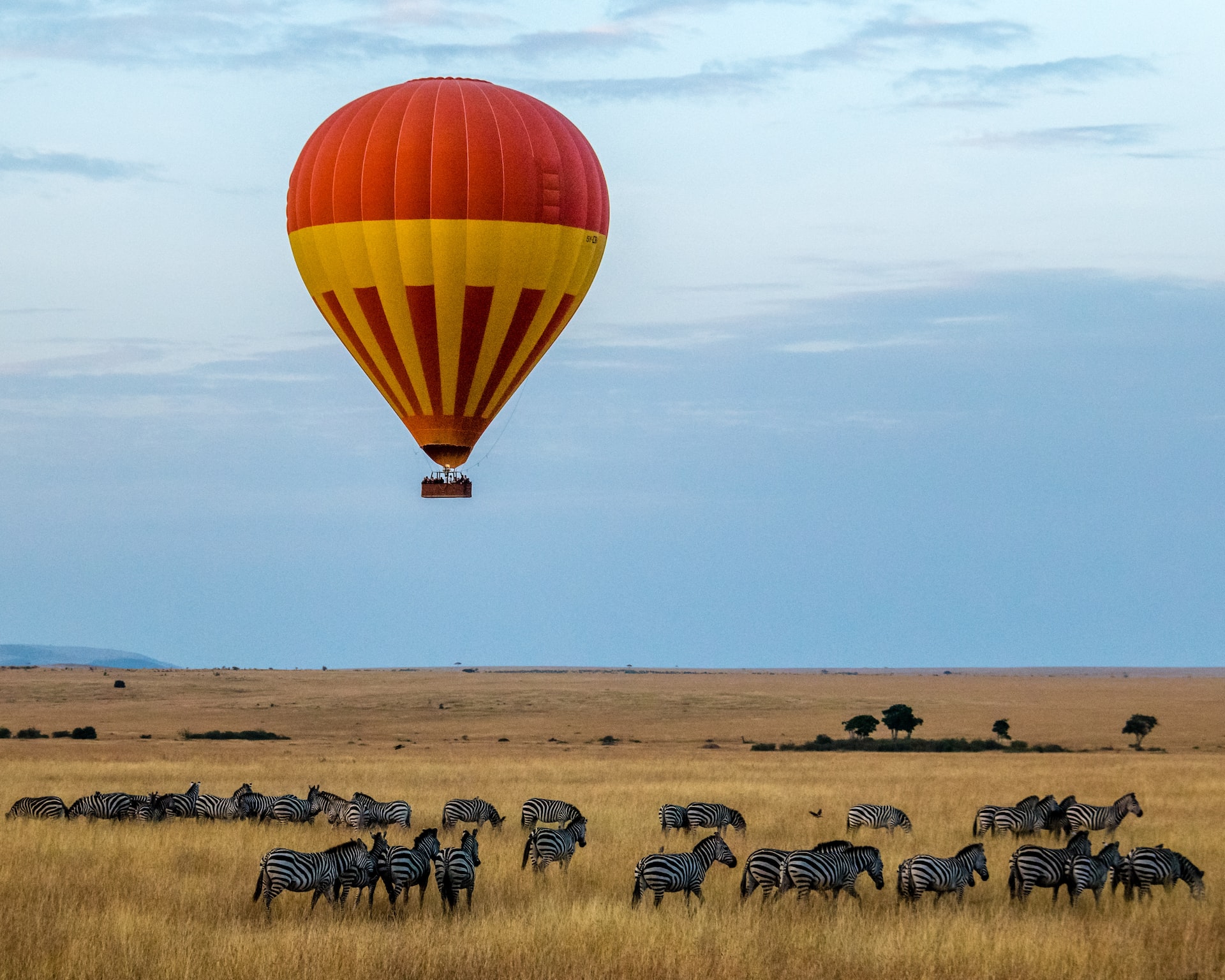 Hot air balloon safari over zebra herds on the Serengeti plains