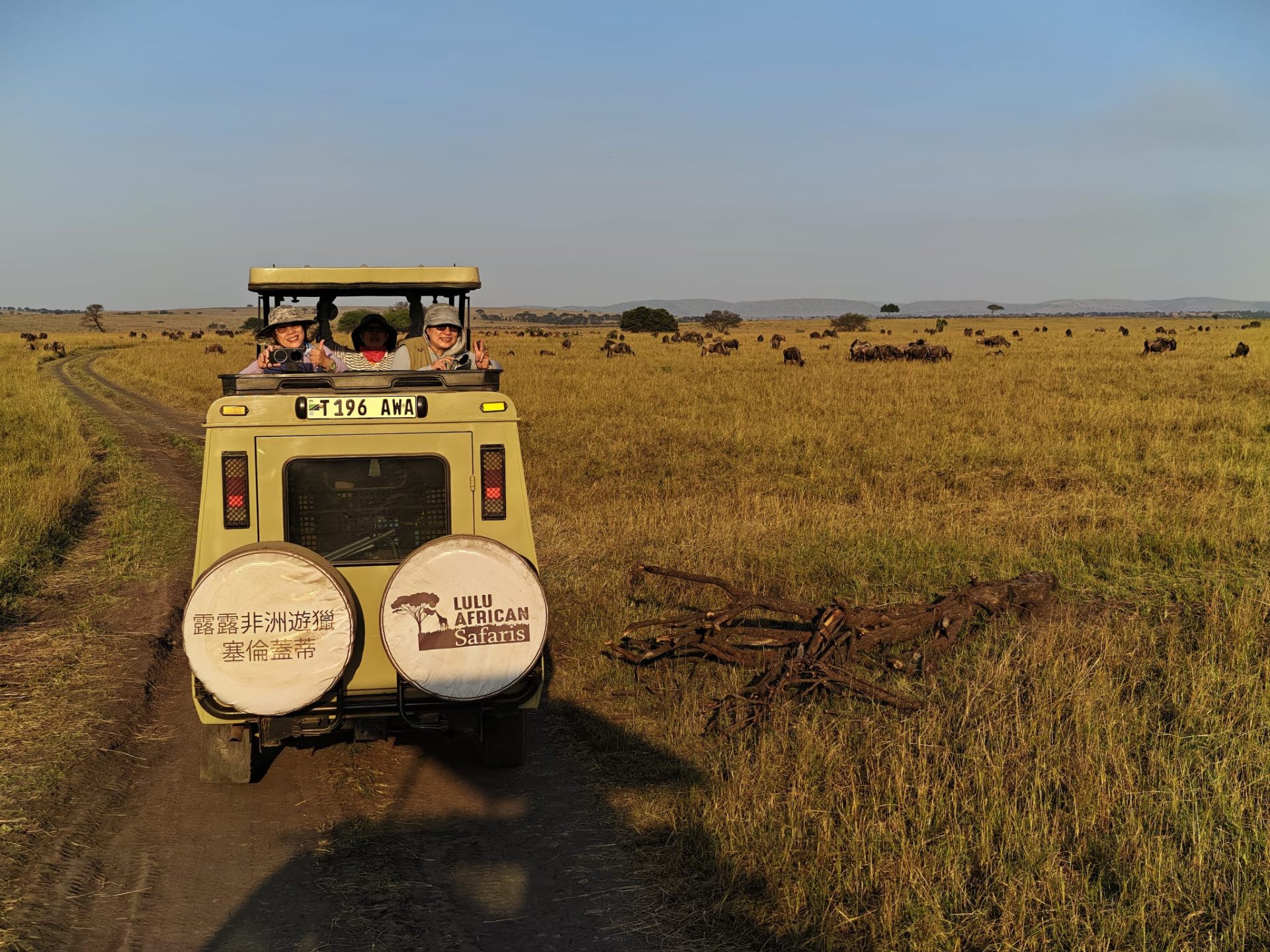 Lulu African Safaris Land Cruiser among the Great Migration herds