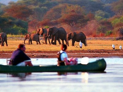 Canoeing Lake Manyara