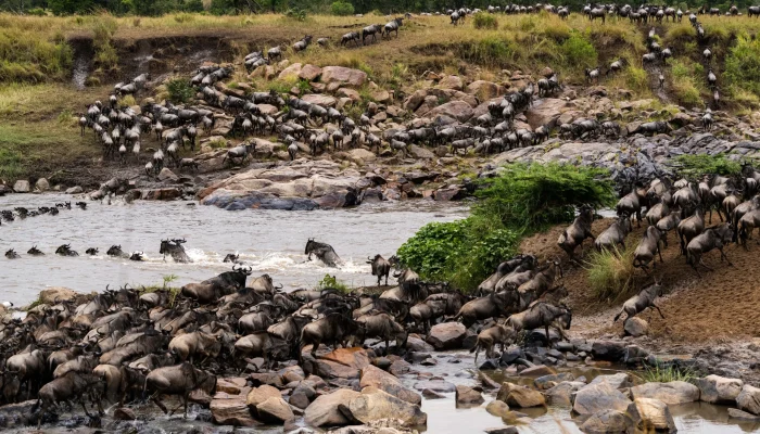 Lulu African Luxury Safaris1