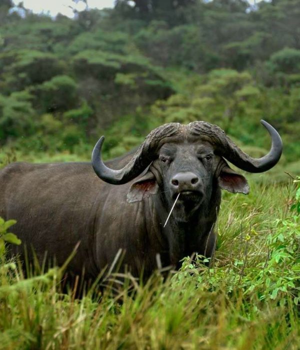 national-park.jpg