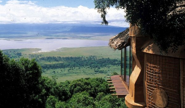 ngoro4.jpg